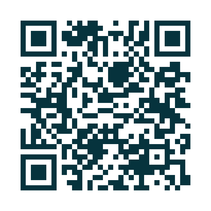 QR code for nopressure.taxi